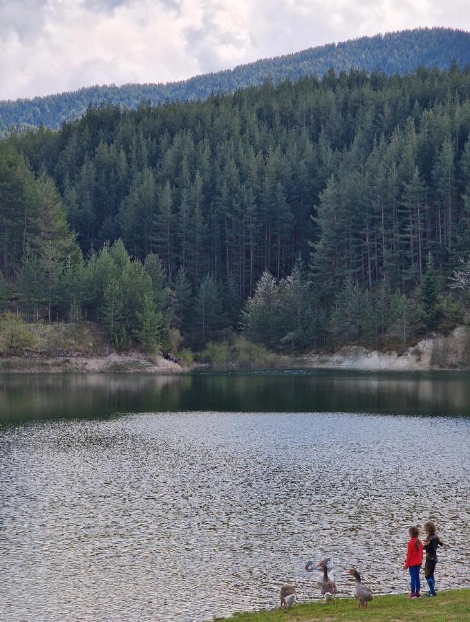 Green Life, Bansko, Private Studio C-17 外观 照片